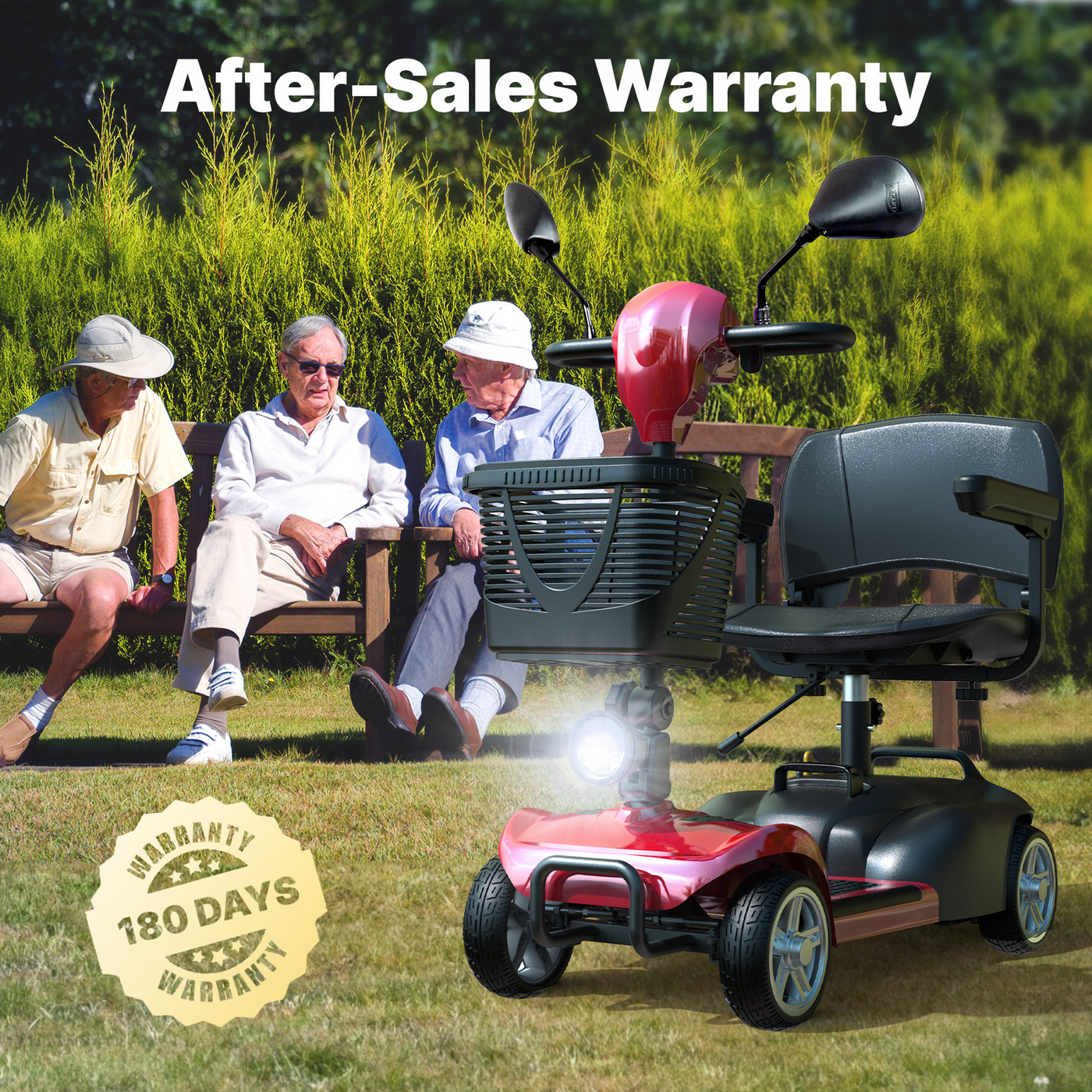 X02 Mobility Scooter 250W