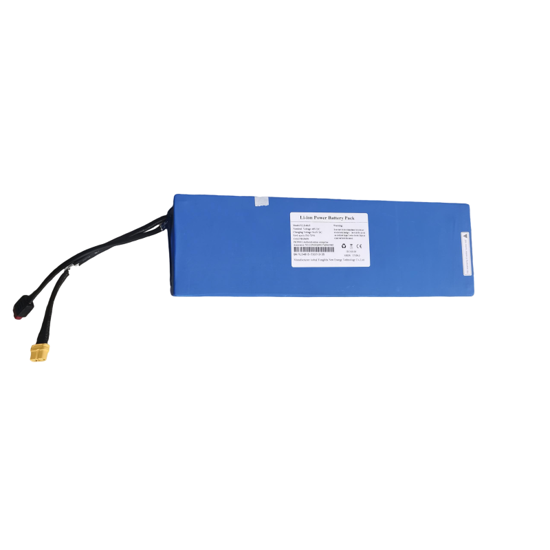 Battery Replacement for Electric Scooter iX5 1000W