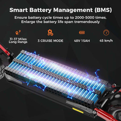 iX4 Offroad-Elektroroller 800W
